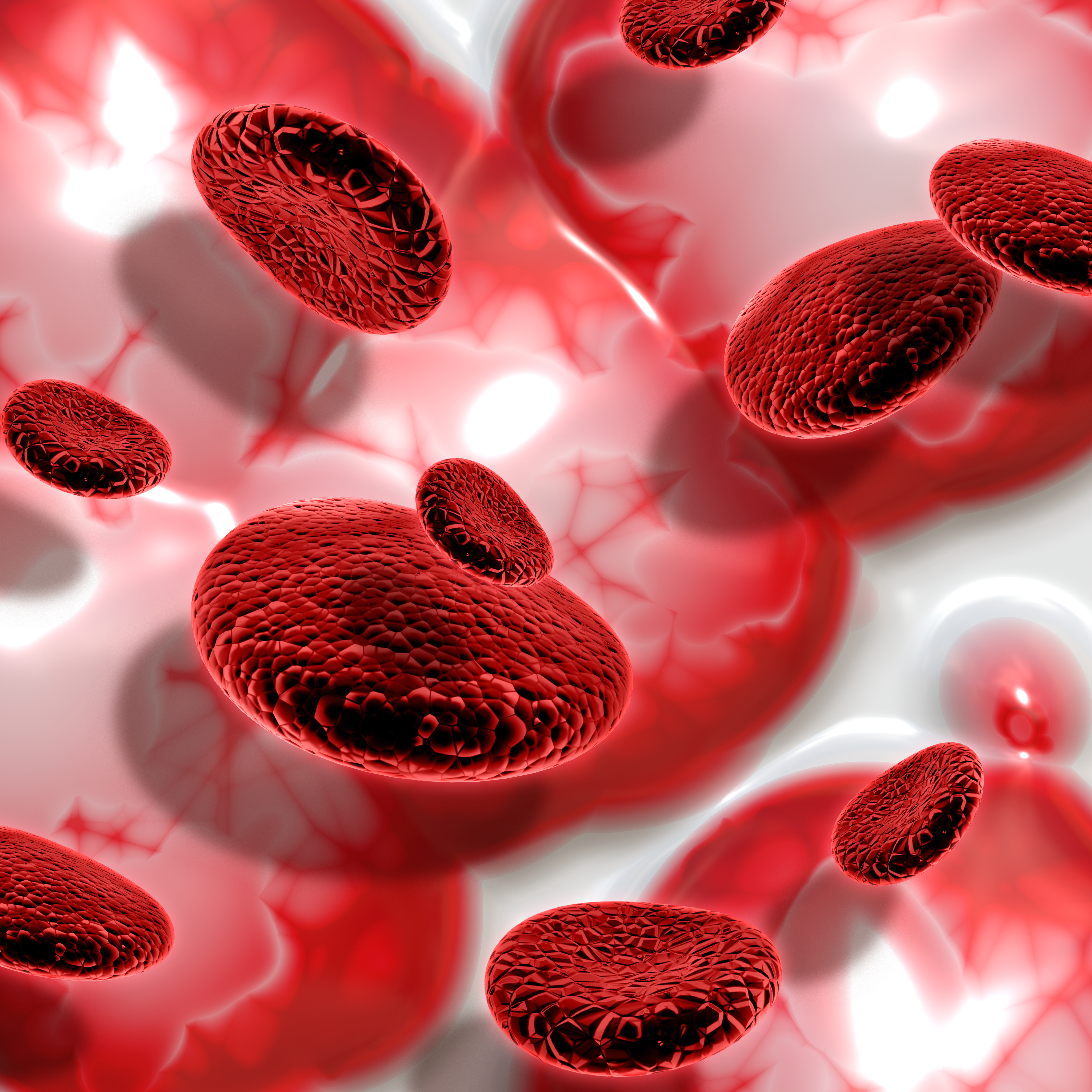 Hematologia